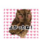 サバサクコノハズクのナゲット＆柊＆少佐（個別スタンプ：11）