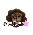 サバサクコノハズクのナゲット＆柊＆少佐（個別スタンプ：12）