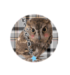 サバサクコノハズクのナゲット＆柊＆少佐（個別スタンプ：13）