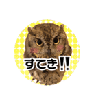 サバサクコノハズクのナゲット＆柊＆少佐（個別スタンプ：14）