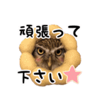 サバサクコノハズクのナゲット＆柊＆少佐（個別スタンプ：16）