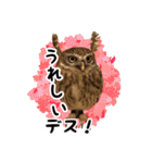 サバサクコノハズクのナゲット＆柊＆少佐（個別スタンプ：19）