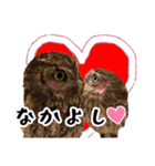 サバサクコノハズクのナゲット＆柊＆少佐（個別スタンプ：22）