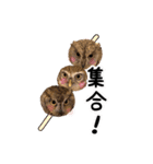 サバサクコノハズクのナゲット＆柊＆少佐（個別スタンプ：24）