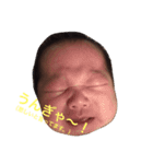 まんまるあかちゃんのスタンプ（個別スタンプ：4）