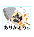 冬を乗り切るミニピンスタンプ（個別スタンプ：1）