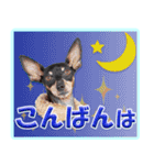 冬を乗り切るミニピンスタンプ（個別スタンプ：4）