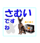 冬を乗り切るミニピンスタンプ（個別スタンプ：5）