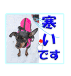 冬を乗り切るミニピンスタンプ（個別スタンプ：7）