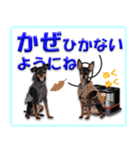 冬を乗り切るミニピンスタンプ（個別スタンプ：9）