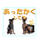 冬を乗り切るミニピンスタンプ（個別スタンプ：10）
