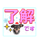 冬を乗り切るミニピンスタンプ（個別スタンプ：12）