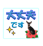 冬を乗り切るミニピンスタンプ（個別スタンプ：14）