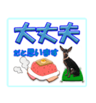 冬を乗り切るミニピンスタンプ（個別スタンプ：16）