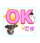 冬を乗り切るミニピンスタンプ（個別スタンプ：17）