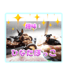 冬を乗り切るミニピンスタンプ（個別スタンプ：20）