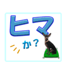 冬を乗り切るミニピンスタンプ（個別スタンプ：23）