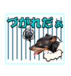 冬を乗り切るミニピンスタンプ（個別スタンプ：25）