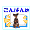 冬を乗り切るミニピンスタンプ（個別スタンプ：28）