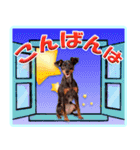 冬を乗り切るミニピンスタンプ（個別スタンプ：30）