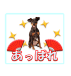 冬を乗り切るミニピンスタンプ（個別スタンプ：32）