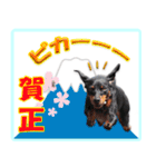 冬を乗り切るミニピンスタンプ（個別スタンプ：34）
