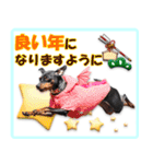 冬を乗り切るミニピンスタンプ（個別スタンプ：36）