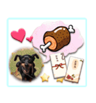 冬を乗り切るミニピンスタンプ（個別スタンプ：37）