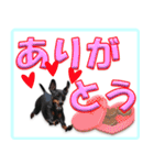 冬を乗り切るミニピンスタンプ（個別スタンプ：40）