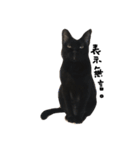 黒猫チュミ（個別スタンプ：1）
