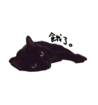 黒猫チュミ（個別スタンプ：3）
