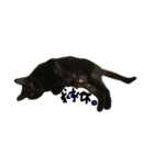黒猫チュミ（個別スタンプ：4）