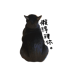 黒猫チュミ（個別スタンプ：9）