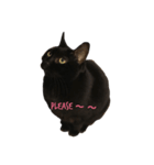 黒猫チュミ（個別スタンプ：13）