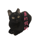 黒猫チュミ（個別スタンプ：16）