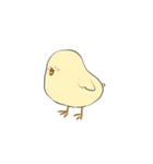 ポテヒヨ（個別スタンプ：19）