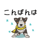 冬バージョン☆可愛い犬のスタンプ（個別スタンプ：5）