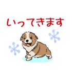 冬バージョン☆可愛い犬のスタンプ（個別スタンプ：7）