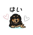 冬バージョン☆可愛い犬のスタンプ（個別スタンプ：9）