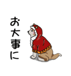 冬バージョン☆可愛い犬のスタンプ（個別スタンプ：13）