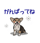 冬バージョン☆可愛い犬のスタンプ（個別スタンプ：14）