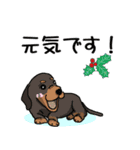 冬バージョン☆可愛い犬のスタンプ（個別スタンプ：22）