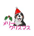 冬バージョン☆可愛い犬のスタンプ（個別スタンプ：29）