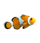 海の生き物（写真）（個別スタンプ：3）