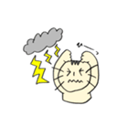 くろネコさんとキジトラさん⑥お天気編（個別スタンプ：5）