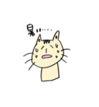 くろネコさんとキジトラさん⑥お天気編（個別スタンプ：9）