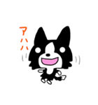 ボーダーコリーのクロちゃん（個別スタンプ：33）