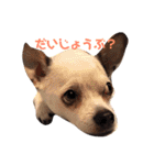 RUN☆DARU（個別スタンプ：3）