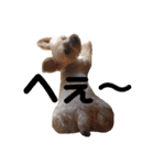 RUN☆DARU（個別スタンプ：18）
