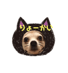 RUN☆DARU（個別スタンプ：25）